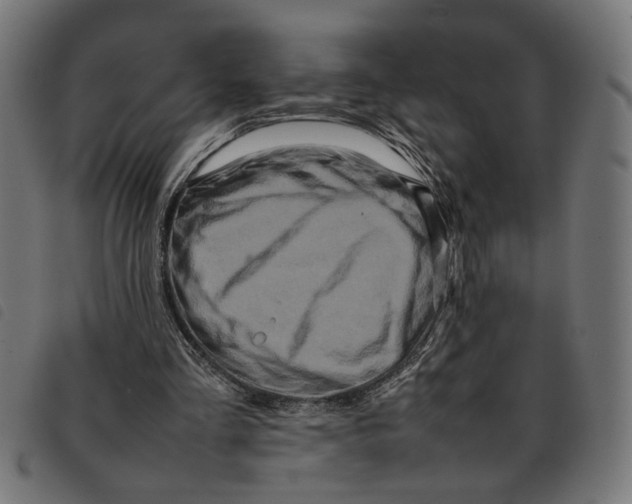 X0000092230293200710121223