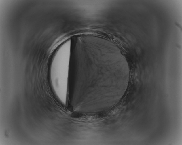 X0000092230295200710121223