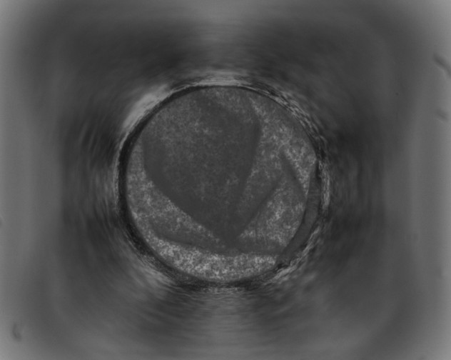 X0000092230296200710121223