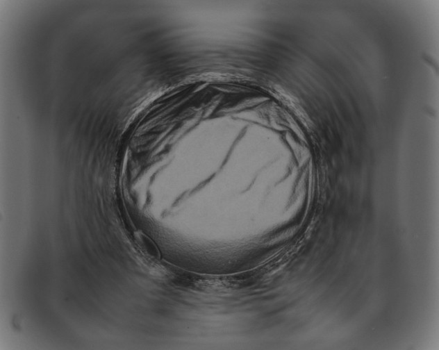 X0000092230297200710121223