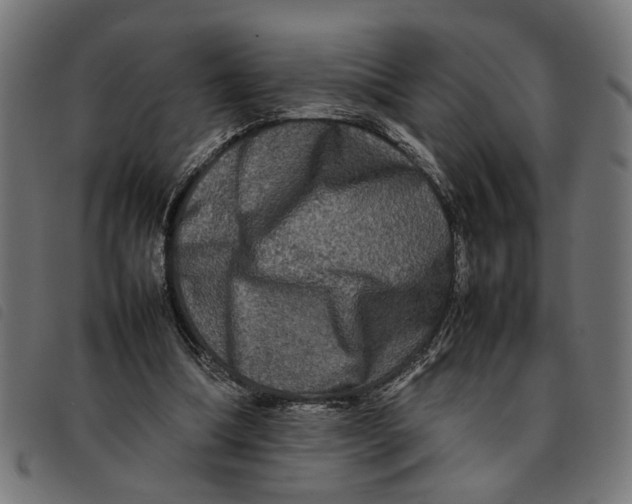 X0000092230298200710121223