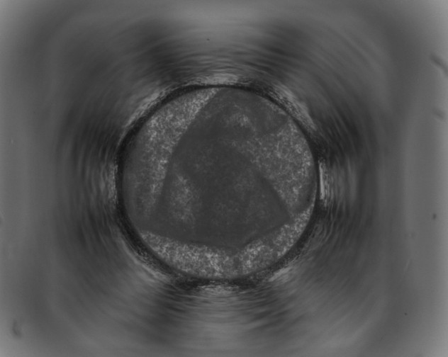 X0000092230300200710121223