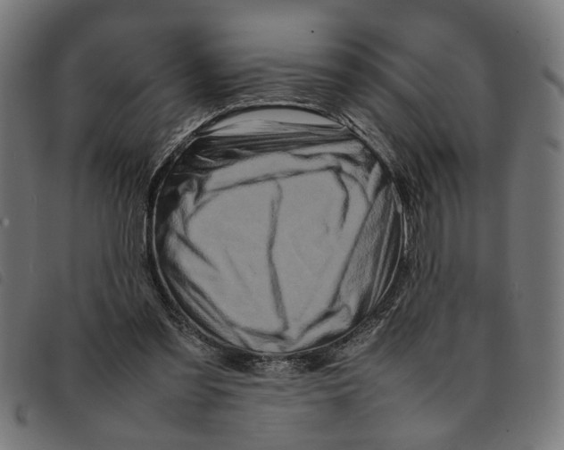 X0000092230301200710121223