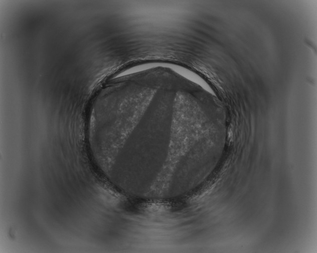 X0000092230303200710121223