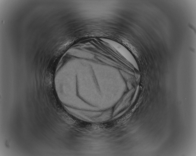 X0000092230305200710121223