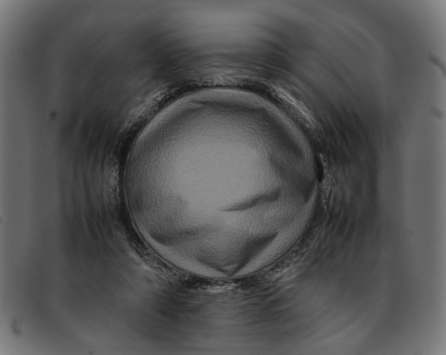 X0000092230306200710121223