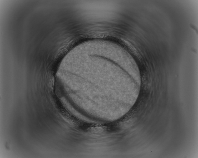 X0000092230307200710121223