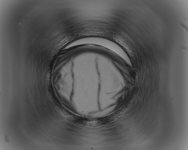 X0000092230309200710121223