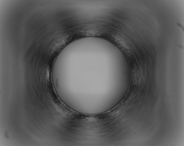 X0000092230310200710121223