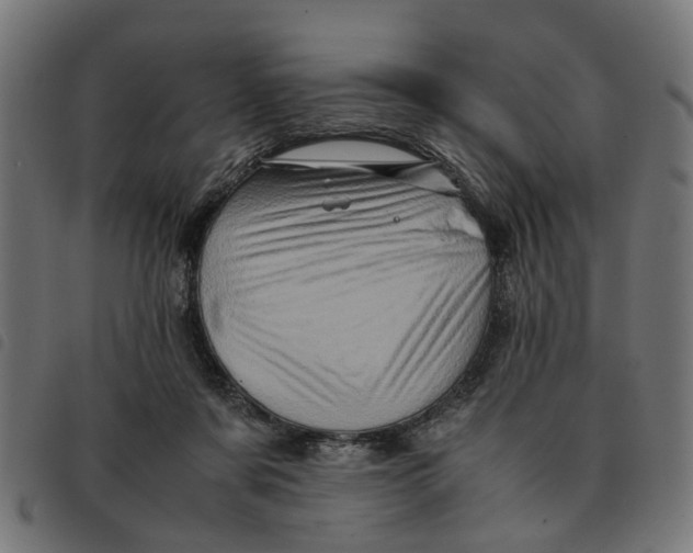 X0000092230311200710121223