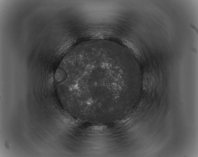 X0000092230314200710121223