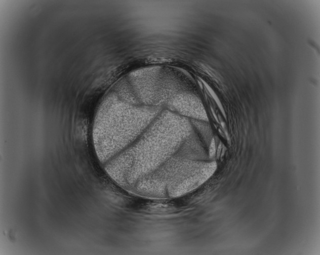 X0000092230315200710121223