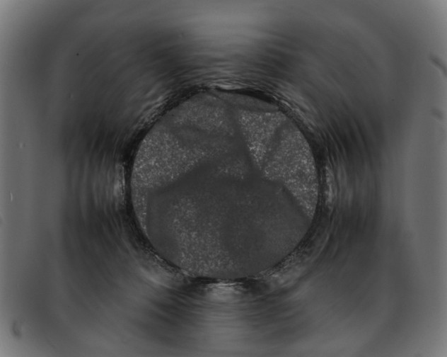 X0000092230320200710121223