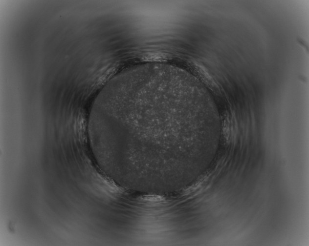 X0000092230322200710121223