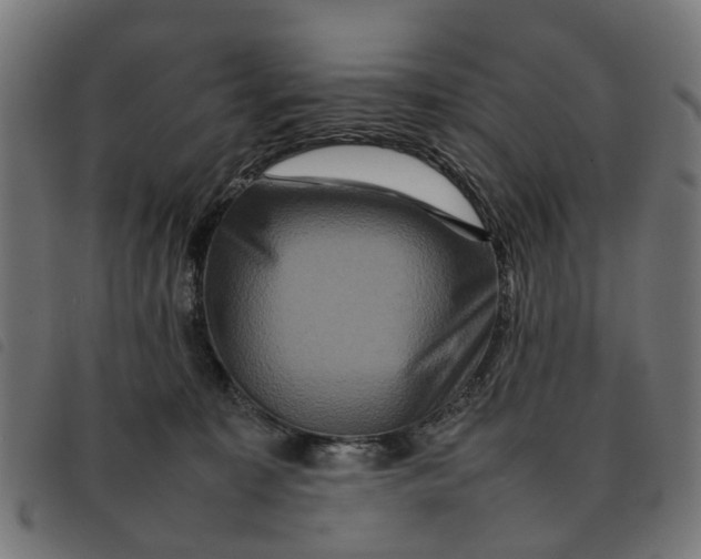 X0000092230323200710121223