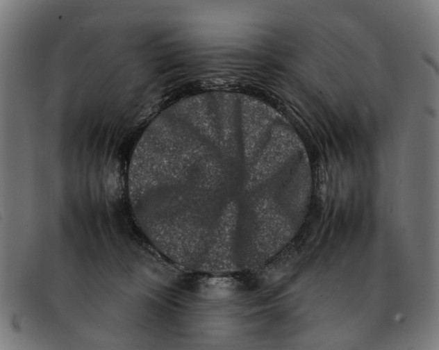 X0000092230324200710121223