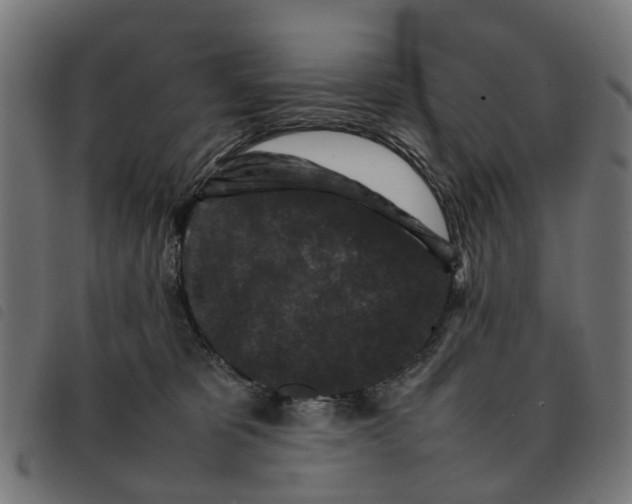 X0000092230325200710121223