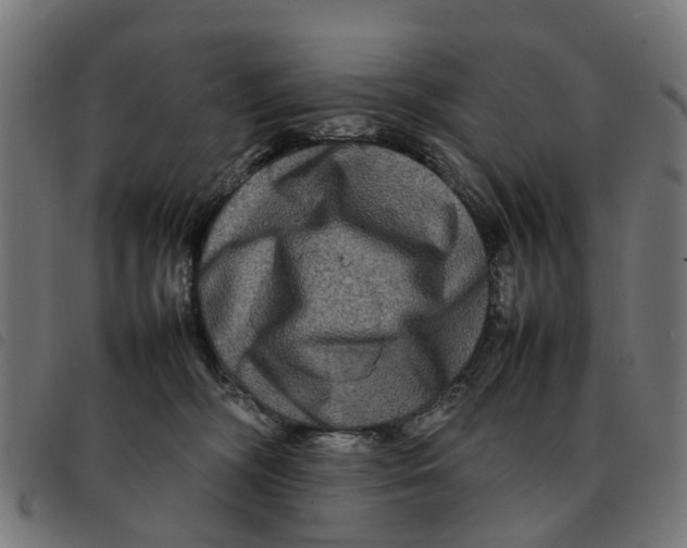 X0000092230326200710121223