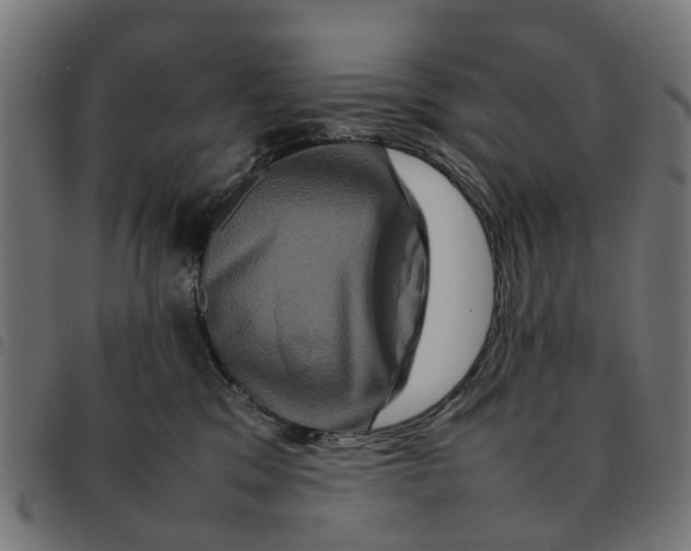 X0000092230329200710121223