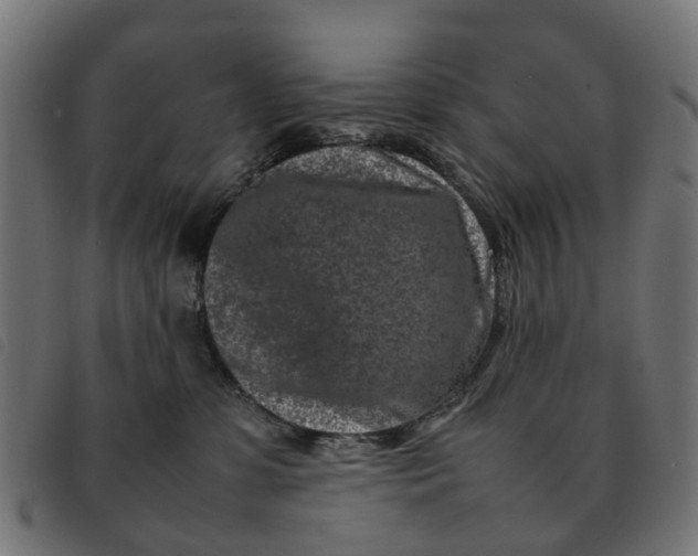 X0000092230331200710121223