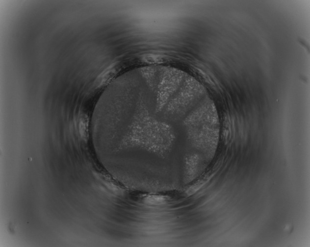 X0000092230332200710121223