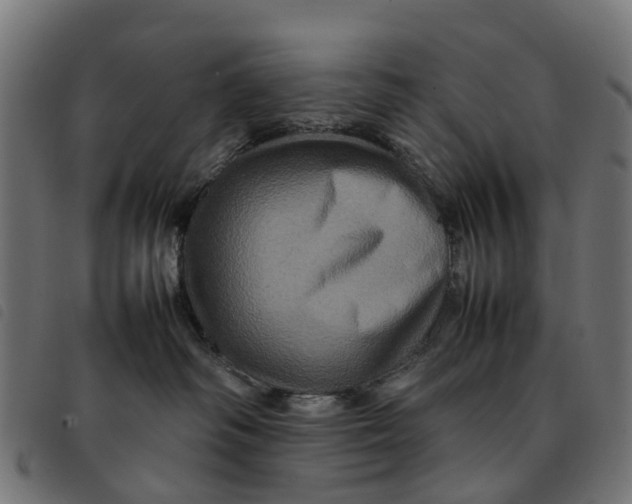 X0000092230334200710121223