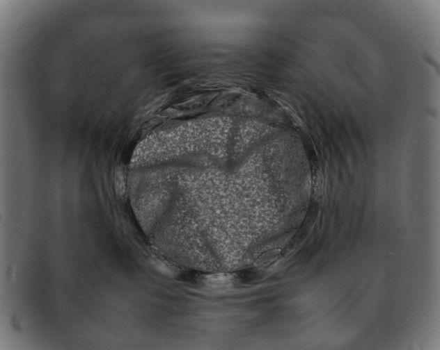 X0000092230335200710121223