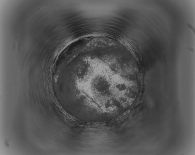 X0000092230337200710121222