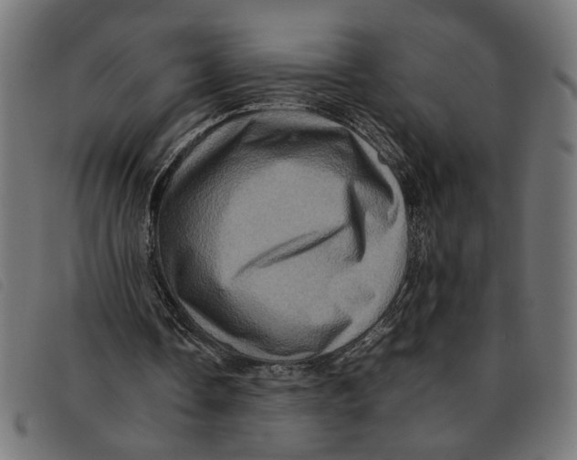 X0000092230338200710121222