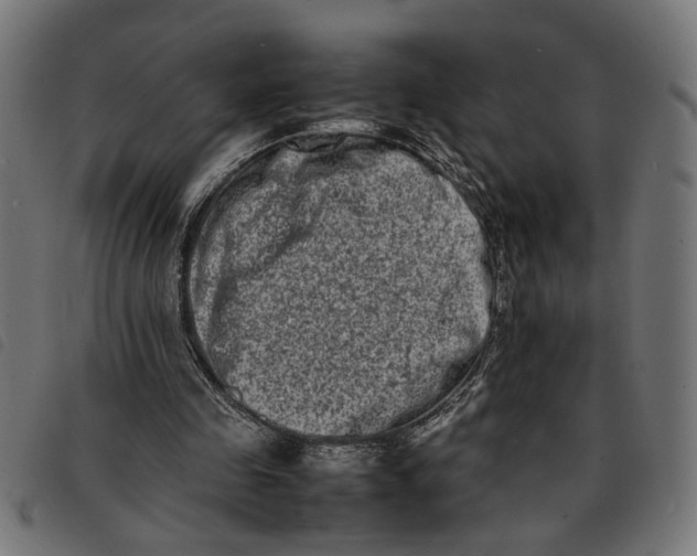 X0000092230341200710121222