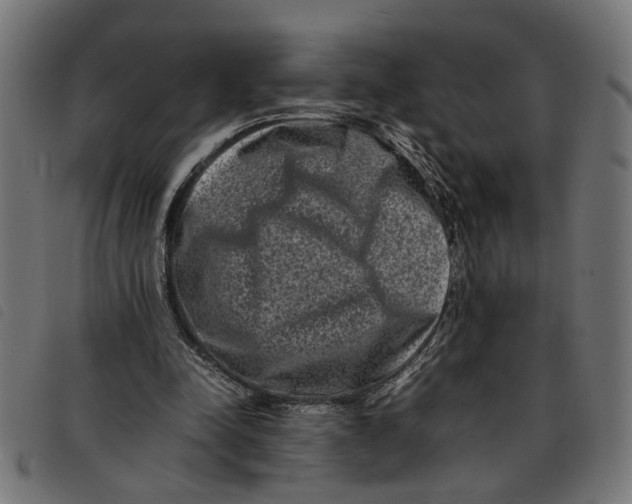 X0000092230342200710121222