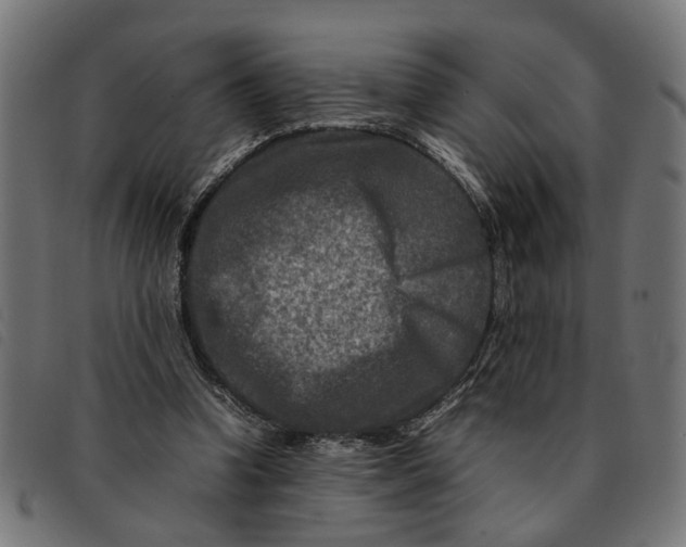 X0000092230346200710121222