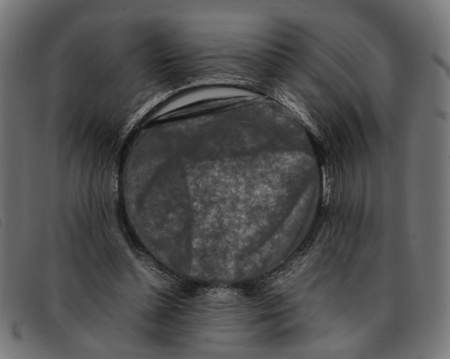 X0000092230348200710121222