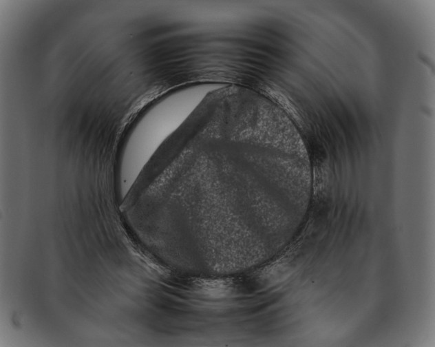 X0000092230349200710121222