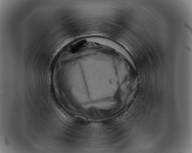 X0000092230350200710121222