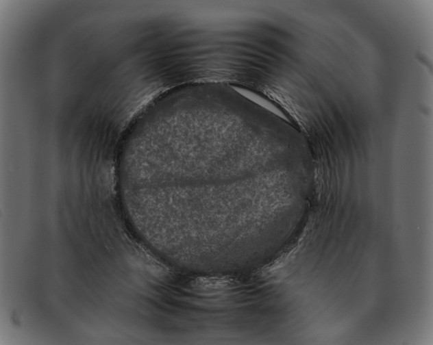 X0000092230351200710121222