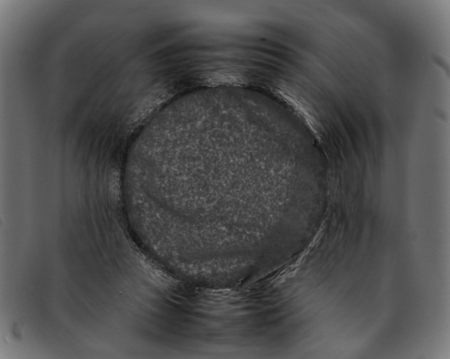 X0000092230353200710121222