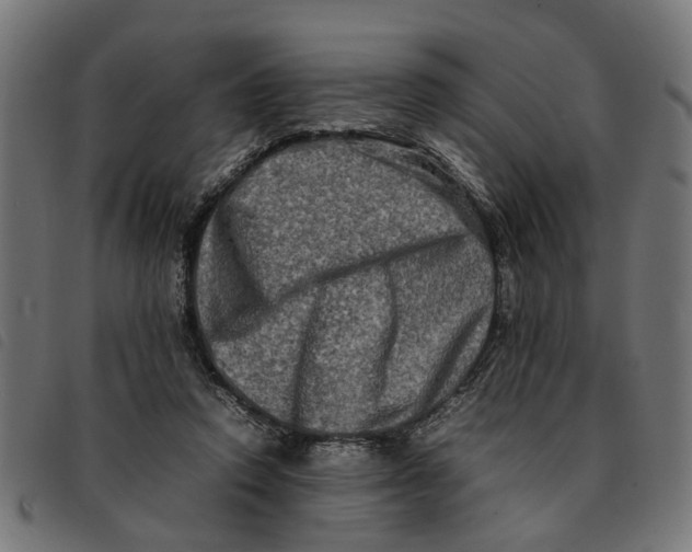 X0000092230354200710121222