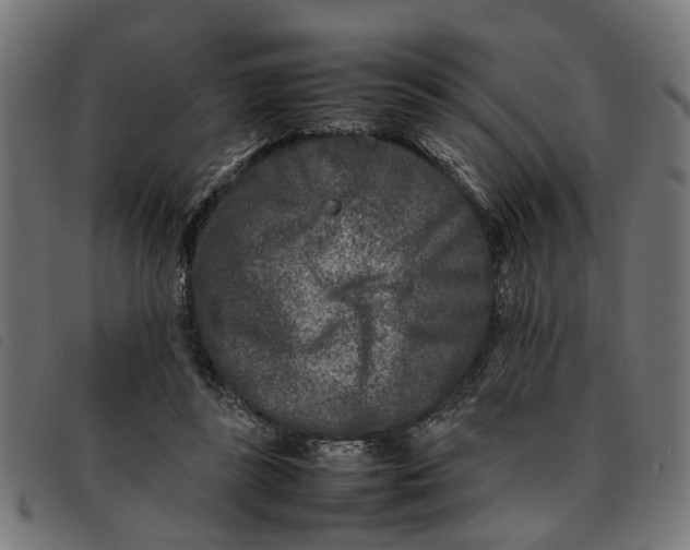 X0000092230355200710121222