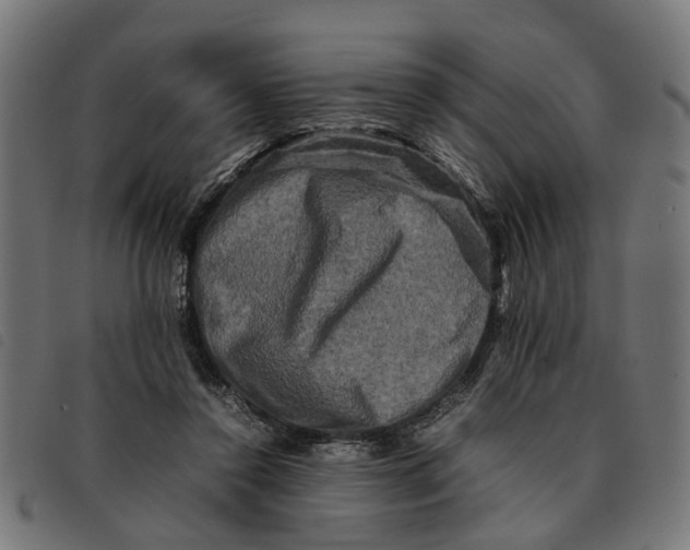 X0000092230356200710121222