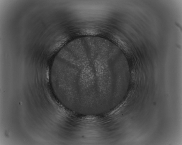 X0000092230358200710121223