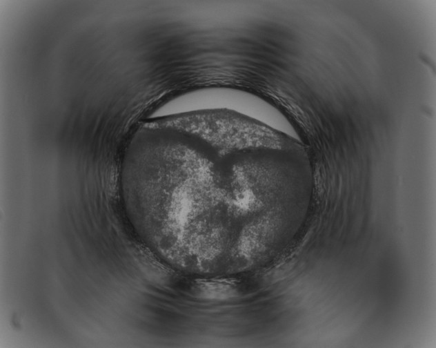 X0000092230359200710121223