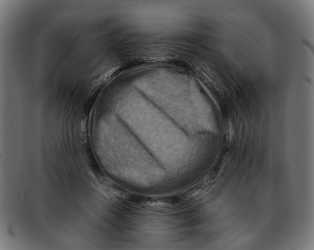 X0000092230360200710121223