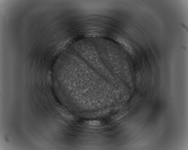 X0000092230361200710121223