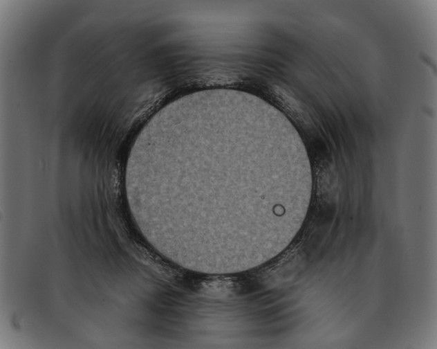 X0000092230362200710121223