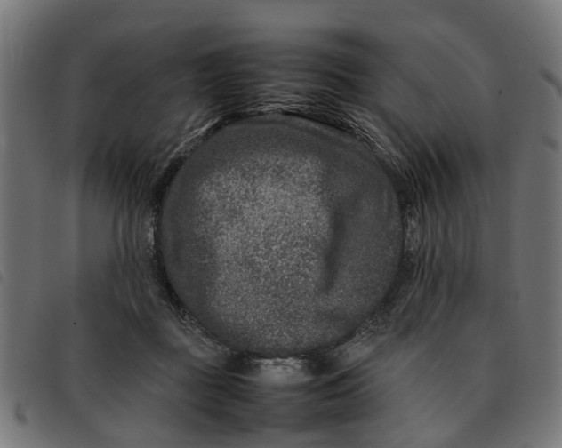 X0000092230363200710121223