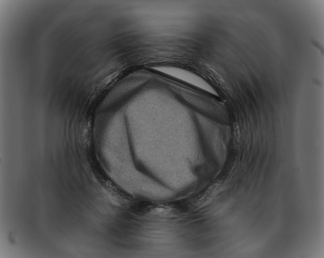 X0000092230364200710121223