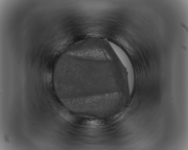 X0000092230365200710121223