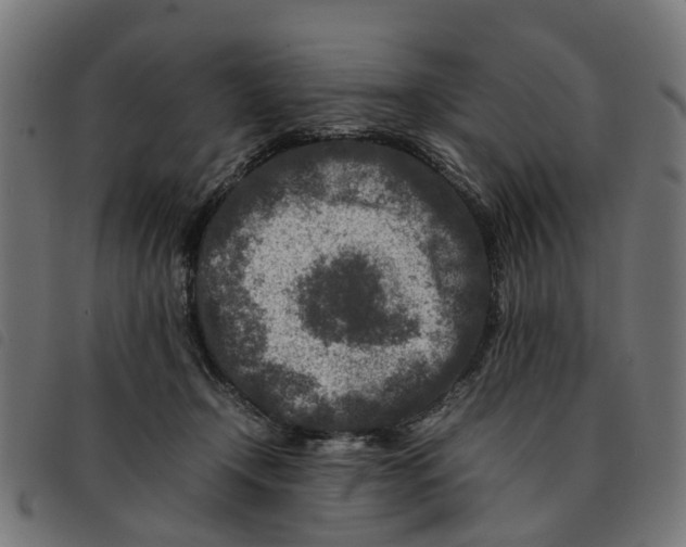 X0000092230366200710121223