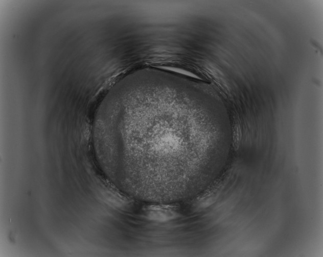 X0000092230367200710121223